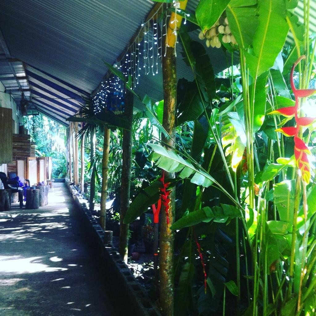 Puerto Viejo de Talamanca El Faro 13 De Puerto Viejo酒店 外观 照片