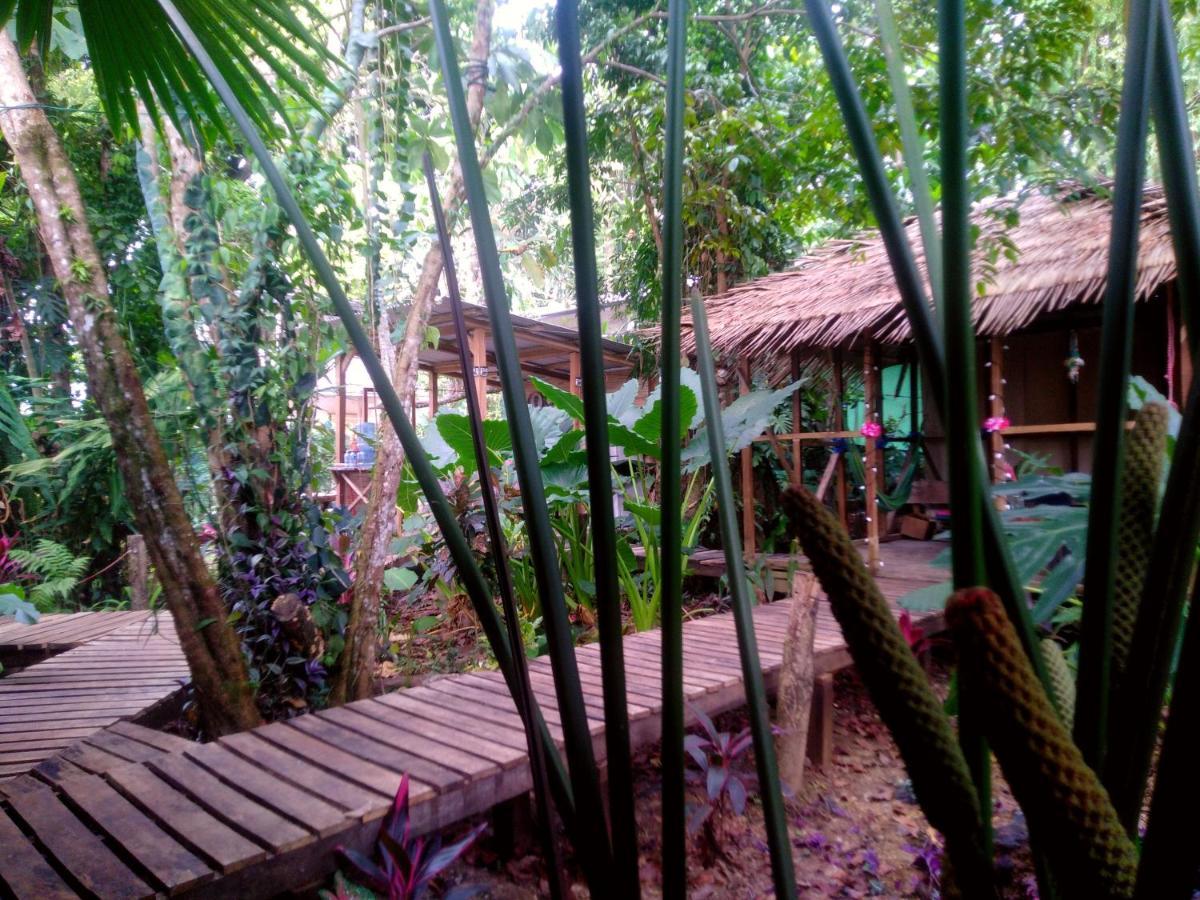Puerto Viejo de Talamanca El Faro 13 De Puerto Viejo酒店 外观 照片
